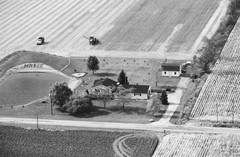 044-glu-19
