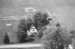 044-glu-28