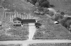 044-glu-29