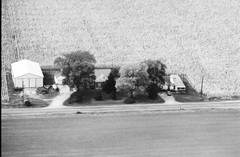 045-glu-06