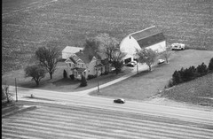 045-glu-09