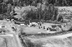 046-glu-10