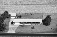 046-glu-19
