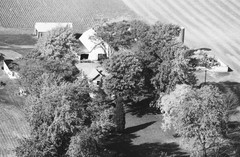 046-glu-29