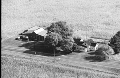 047-glu-17