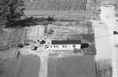 048-glu-14