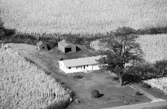 048-glu-19