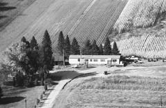048-glu-25