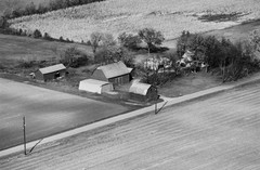 048-glu-29