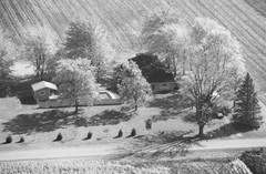 048-glu-31