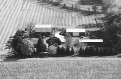 048-glu-33