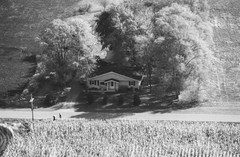 048-glu-34