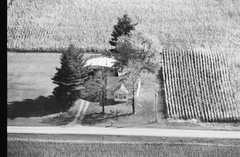 049-glu-01