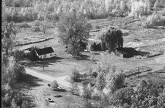 049-glu-11