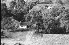 049-glu-17