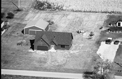 049-glu-20