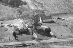050-glu-16