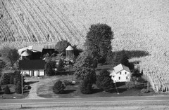 050-glu-31