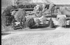 051-glu-01