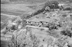 051-glu-04
