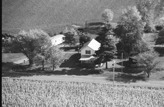 051-glu-06