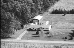 051-glu-17