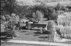 051-glu-19