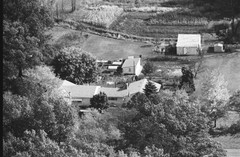 051-glu-21