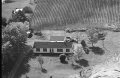051-glu-26