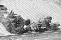 052-glu-04