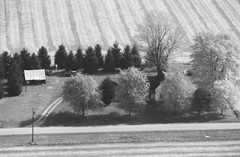 052-glu-19