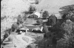 053-glu-19