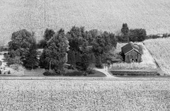 054-glu-29