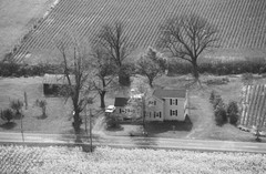 054-glu-36