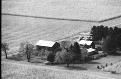 055-glu-19