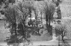 056-glu-11