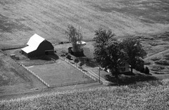 056-glu-15