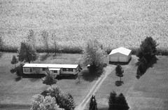 056-glu-20