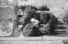 056-glu-29