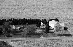 056-glu-32