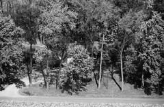 056-glu-35