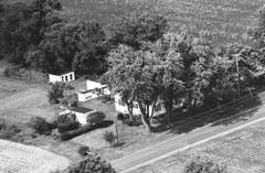 002-qlu-11
