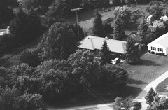 002-qlu-19