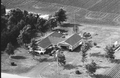 003-qlu-21