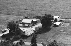 004-qlu-19