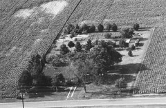 006-qlu-31