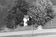 008-qlu-11
