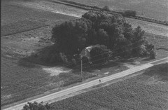009-qlu-06