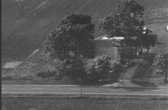 009-qlu-08