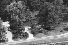 018-qlu-08